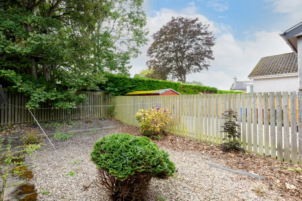 17e80f61c9b36a5ed5259f42a4cbd649e86df6eb5a63c31822179d8097a6c317 27fe1aa1e9 v0 w1280xh0 rDEF.jpg